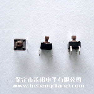 p|_P6*6*7.3mm _a(chn)